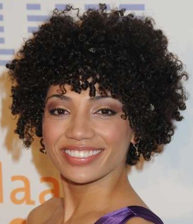 Curly Hairstyles for Black Women â€" The Style News Network