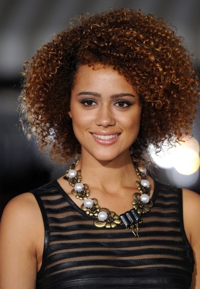 2014 Natural Hairstyles for Black Women  7