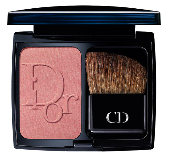 Dior Color Icons Fall 2014 Collection 3