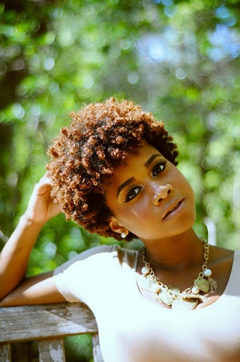 2015 Natural Hairstyles For African American Women 10