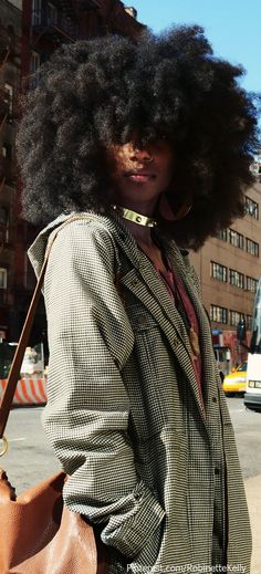 30 Natural Afros To Make You Forget About Twist-Outs – The Style News ...