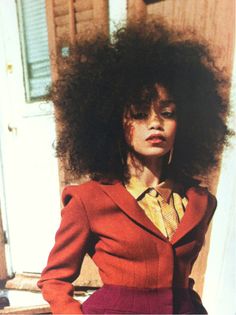 30 Natural Afros To Make You Forget About Twist-Outs – The Style News ...